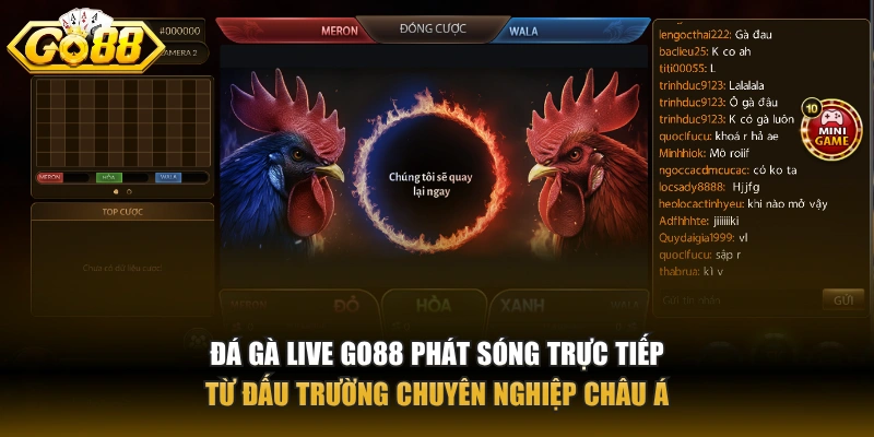 Đá gà live GO88 phát sóng trực tiếp từ đấu trường chuyên nghiệp Châu Á
