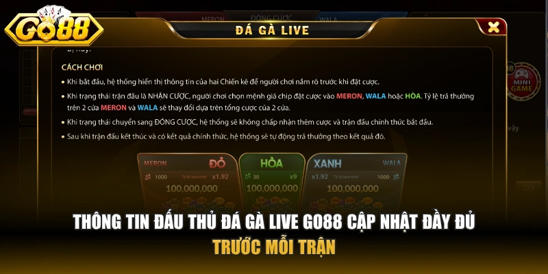 Thông tin đấu thủ đá gà live GO88 cập nhật đầy đủ trước mỗi trận